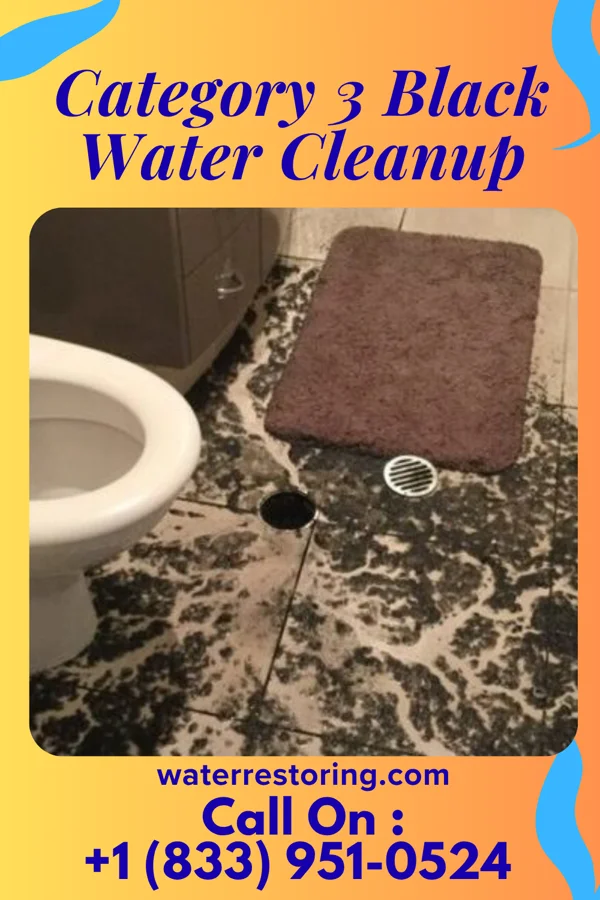 Category 3 Black Water Cleanup in Santa Clara Pueblo, NM